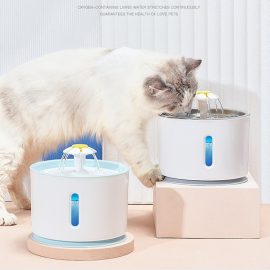 Pet LED Water Dispenser