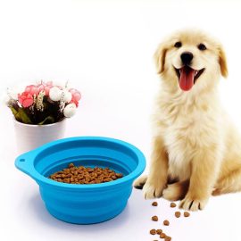 Pet Silicone Folding Bowls