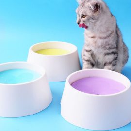 Pet Drinking Water Bowl