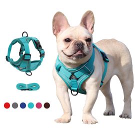 Pet Vest Leash