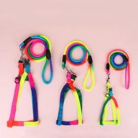 Rainbow Pet Leash