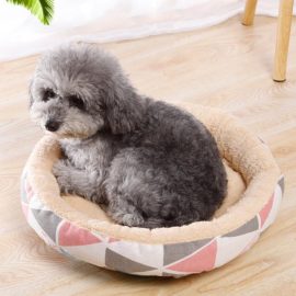 Pet Canvas Printed Bed