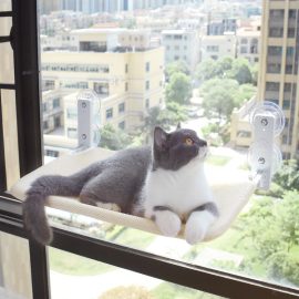 Cat  Foldable Window Hammock