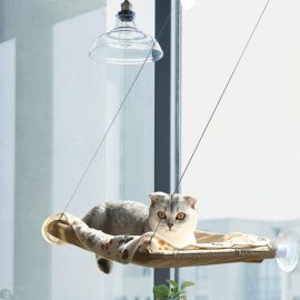 Cat Window Hammock