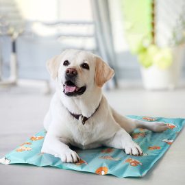 Pet Summer Printed Ice Pad