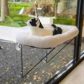 Cat Metal Frame Window Hammock