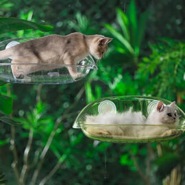 Cat Transparent Window Hammock